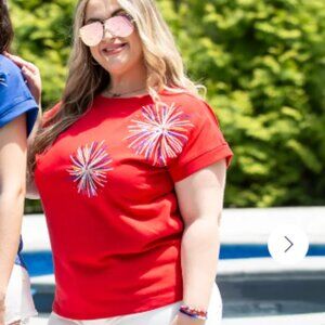 🎆 Firework Top